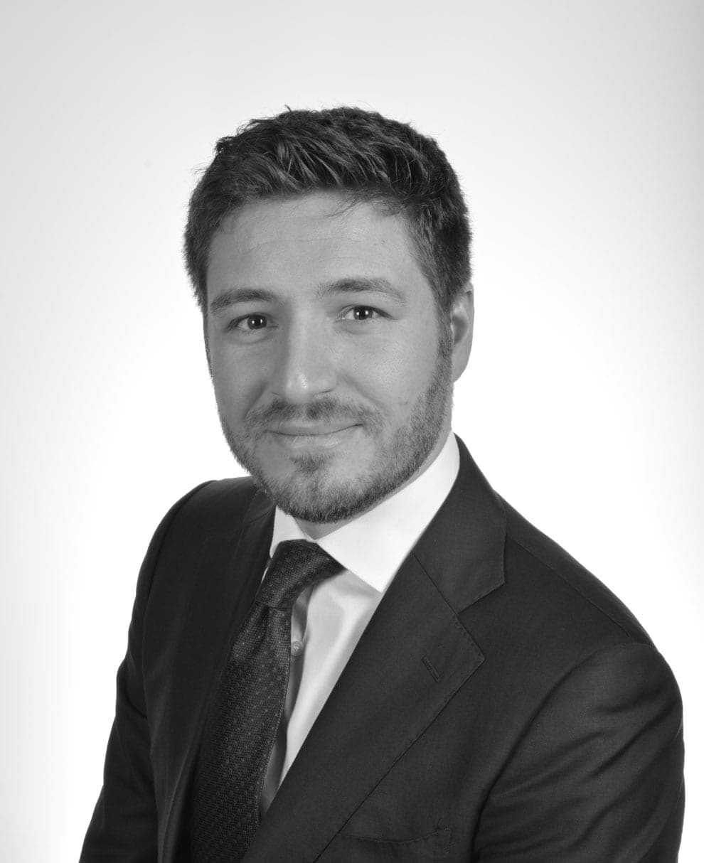 Edoardo Mancini, Consultant